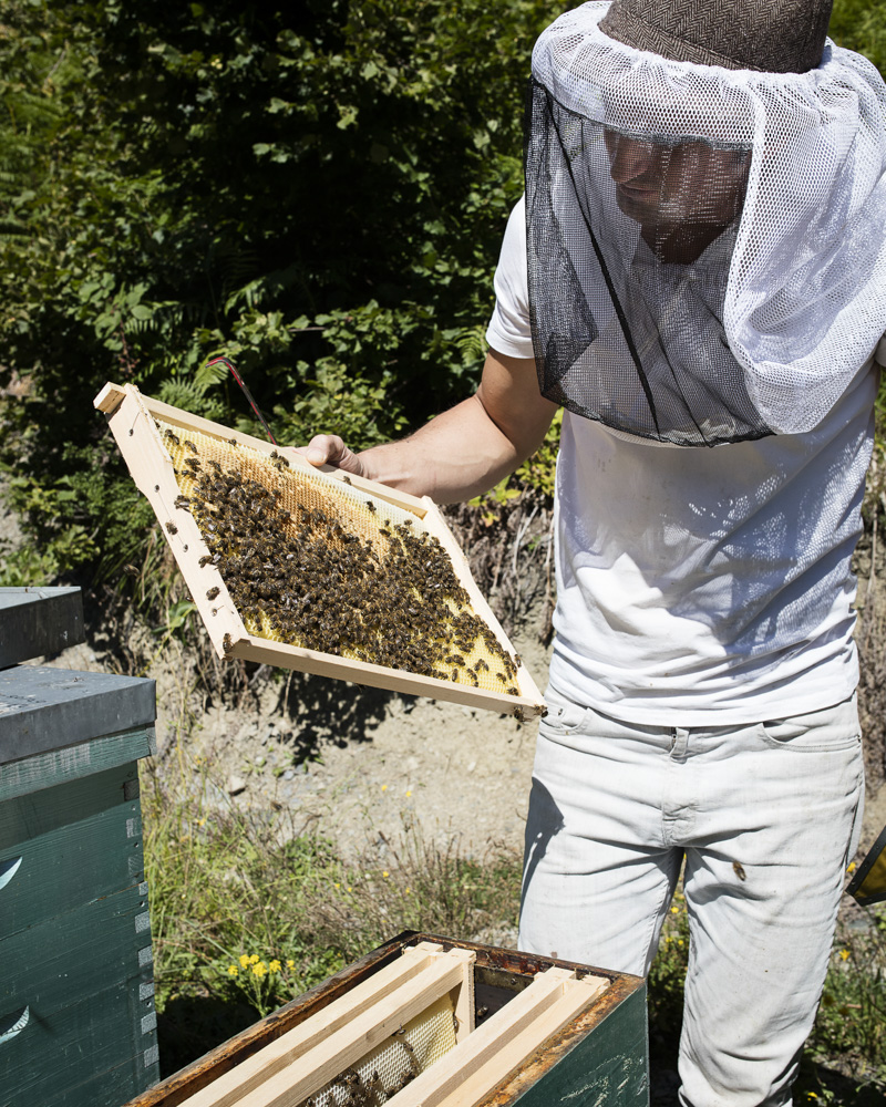 Pyrénées, un apiculteur